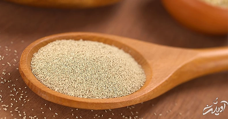پودر خمیر مایه